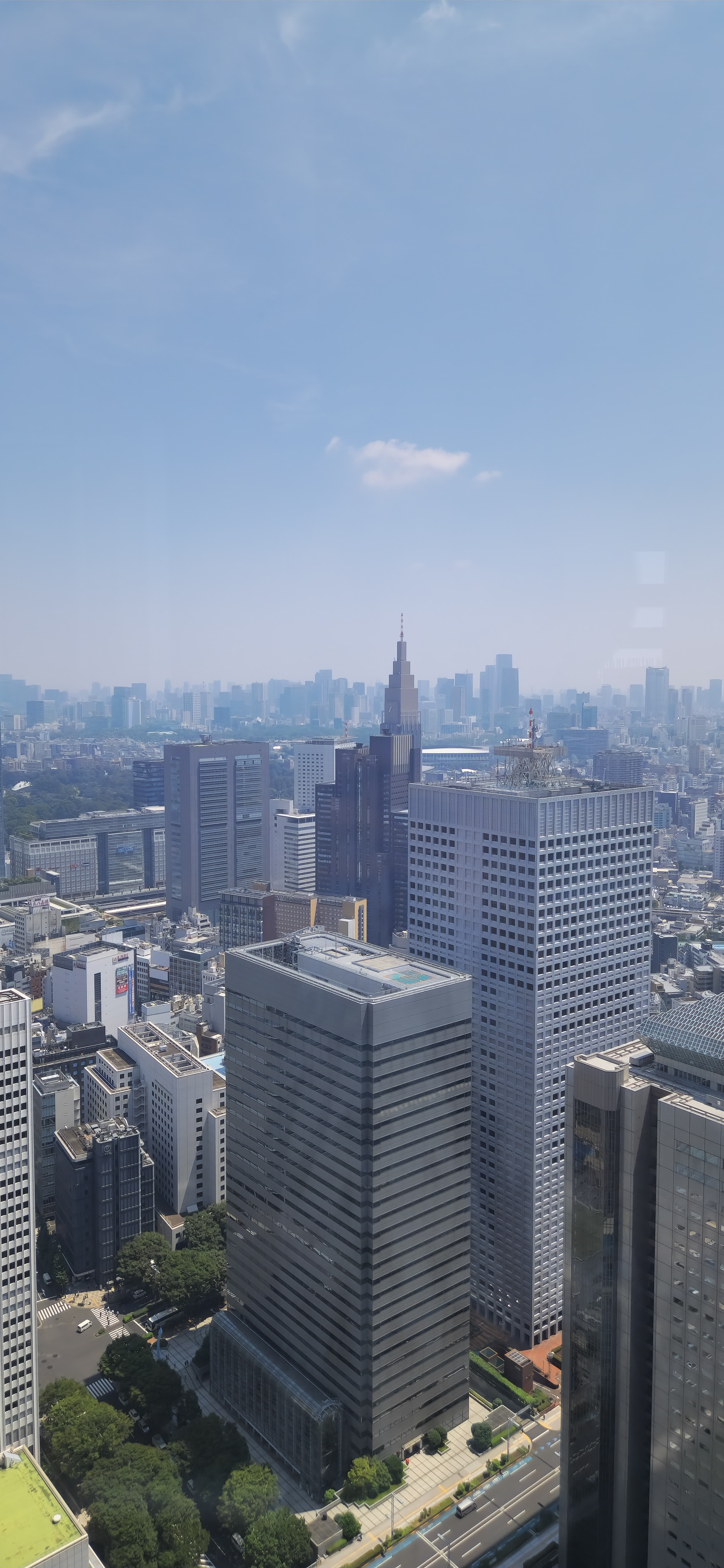 Tokyo skyline from the Met Building