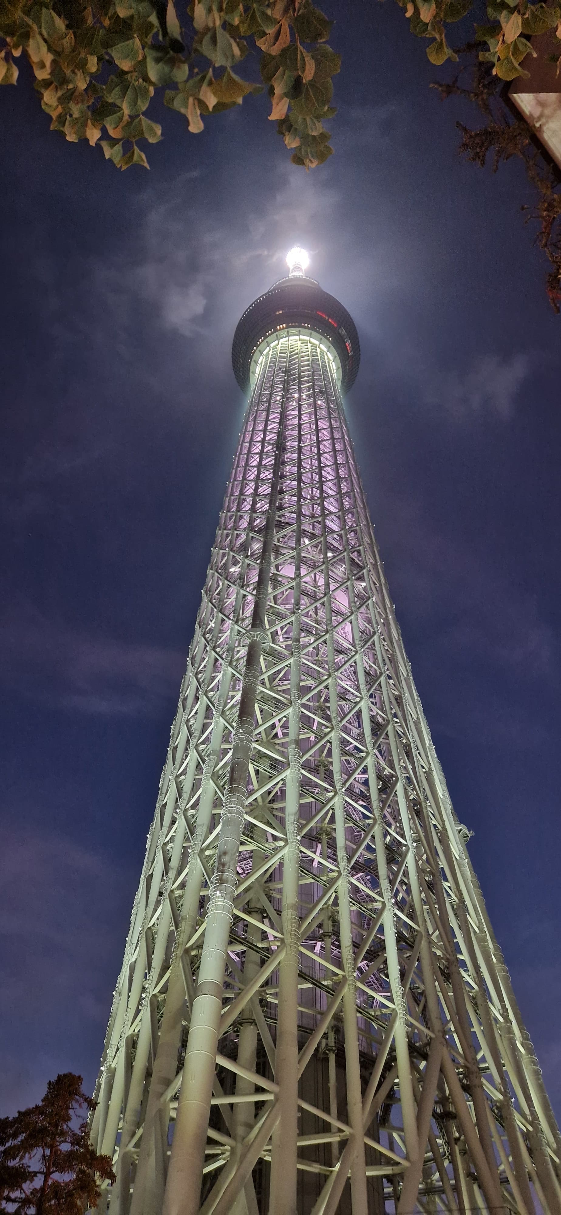 Tokyo Skytree from distance