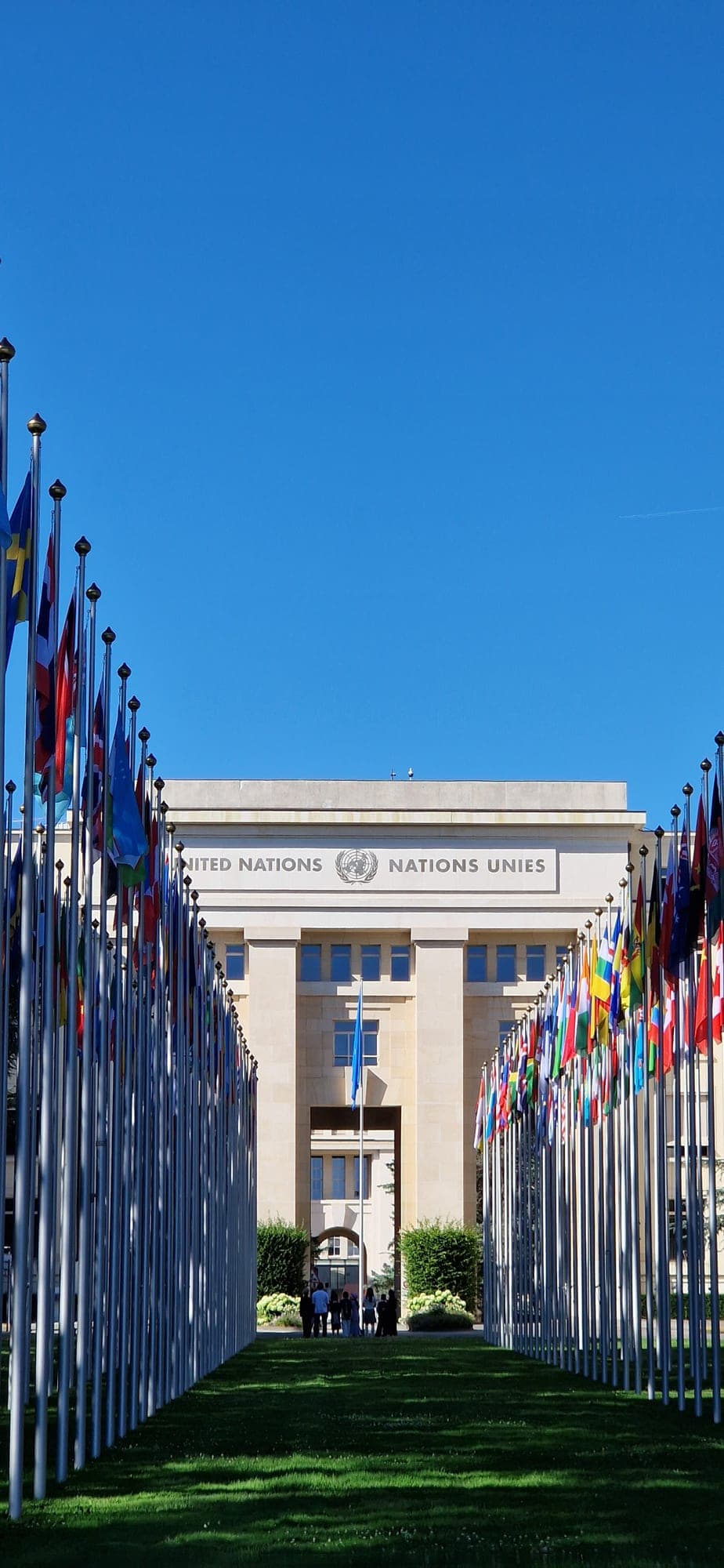Member-state flags lining the approach to the United Nations Palais des Nations